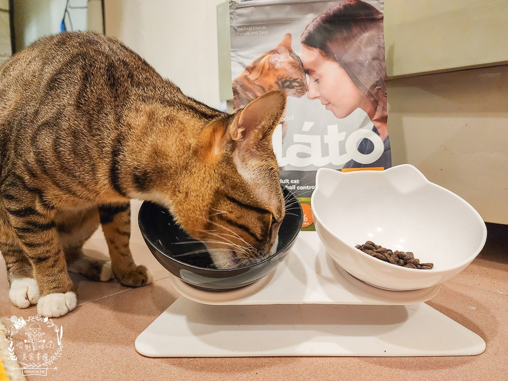 貓咪無穀貓糧推薦[Elato杜莎天然無穀貓糧]含肉量高達73%，碳水只有20.4%營養足夠的無穀乾糧推薦！