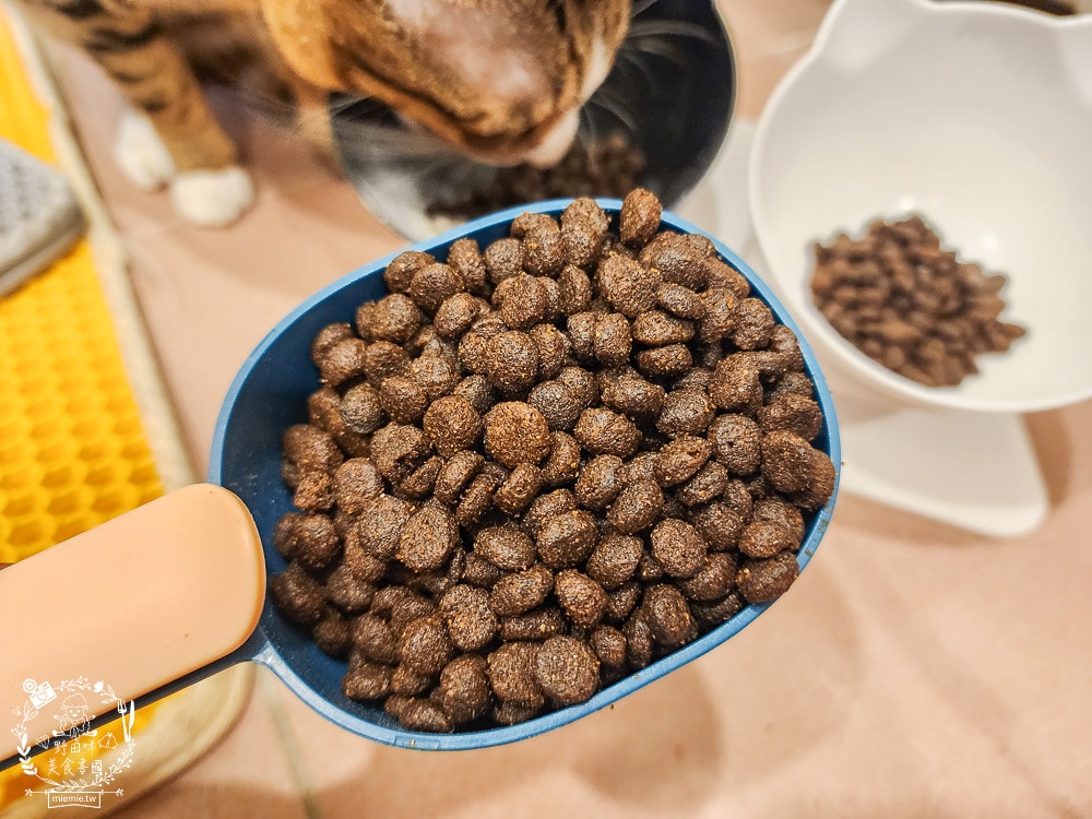 貓咪無穀貓糧推薦[Elato杜莎天然無穀貓糧]含肉量高達73%，碳水只有20.4%營養足夠的無穀乾糧推薦！