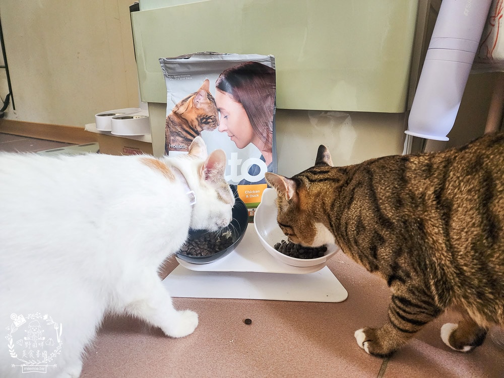 貓咪無穀貓糧推薦[Elato杜莎天然無穀貓糧]含肉量高達73%，碳水只有20.4%營養足夠的無穀乾糧推薦！