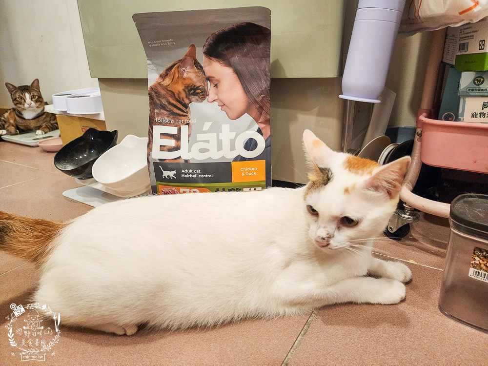 貓咪無穀貓糧推薦[Elato杜莎天然無穀貓糧]含肉量高達73%，碳水只有20.4%營養足夠的無穀乾糧推薦！