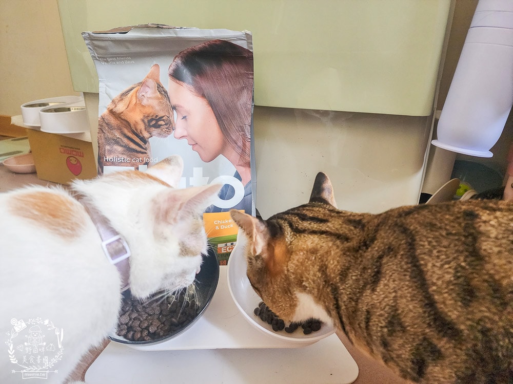 貓咪無穀貓糧推薦[Elato杜莎天然無穀貓糧]含肉量高達73%，碳水只有20.4%營養足夠的無穀乾糧推薦！