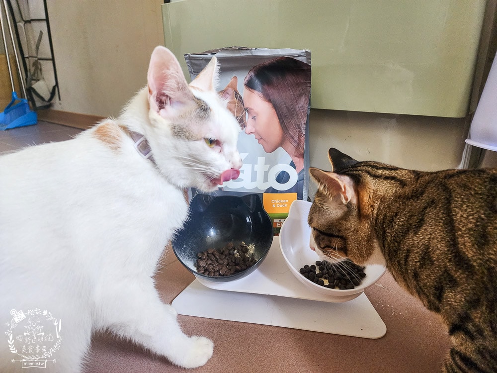 貓咪無穀貓糧推薦[Elato杜莎天然無穀貓糧]含肉量高達73%，碳水只有20.4%營養足夠的無穀乾糧推薦！