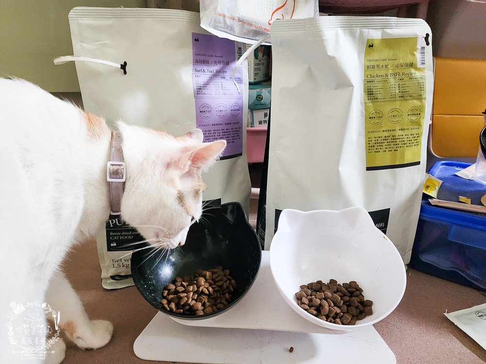 Meow Servant 喵皇奴貓咪凍乾飼料|鮮肉凍乾真空噴塗技術,天然純肉香味征服挑嘴貓! - 第16張圖 Meow Servant 喵皇奴貓咪凍乾飼料|鮮肉凍乾真空噴塗技術,天然純肉香味征服挑嘴貓!