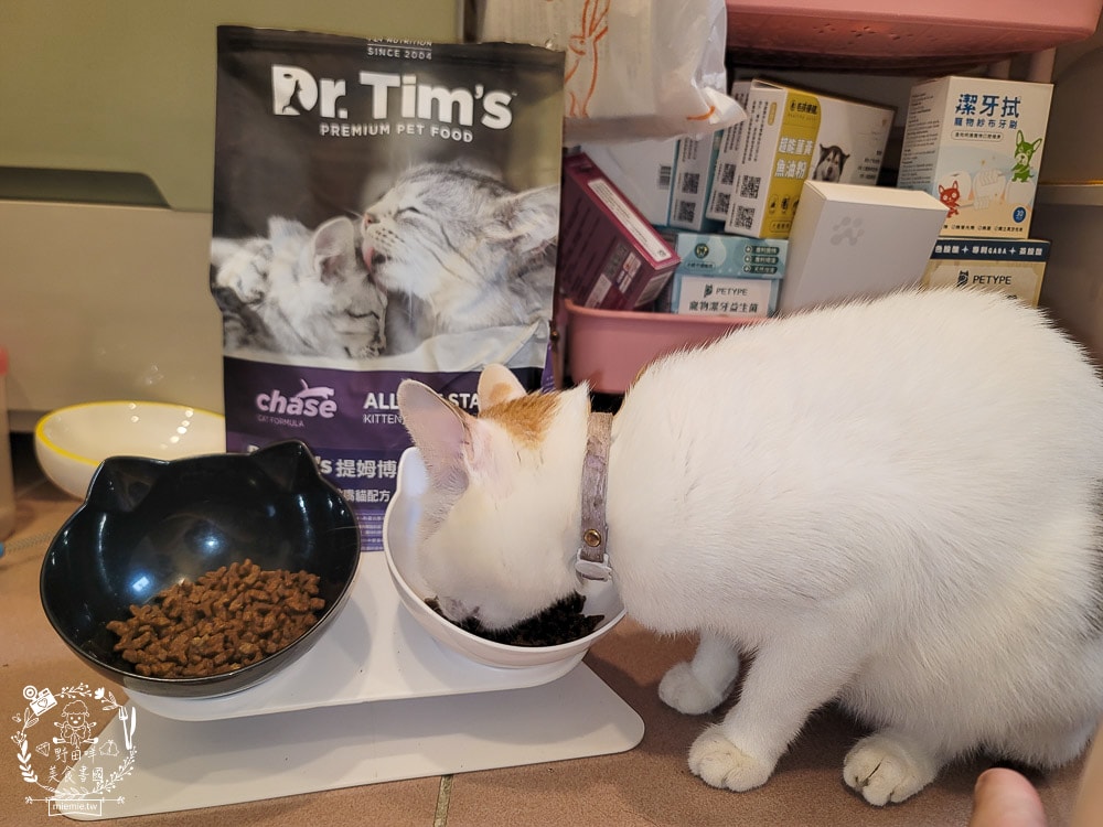 Dr.Tim提姆博士綜合營養全齡化毛挑嘴貓配方貓咪飼料|DFA(Dog food advisor)五星推薦認證品牌