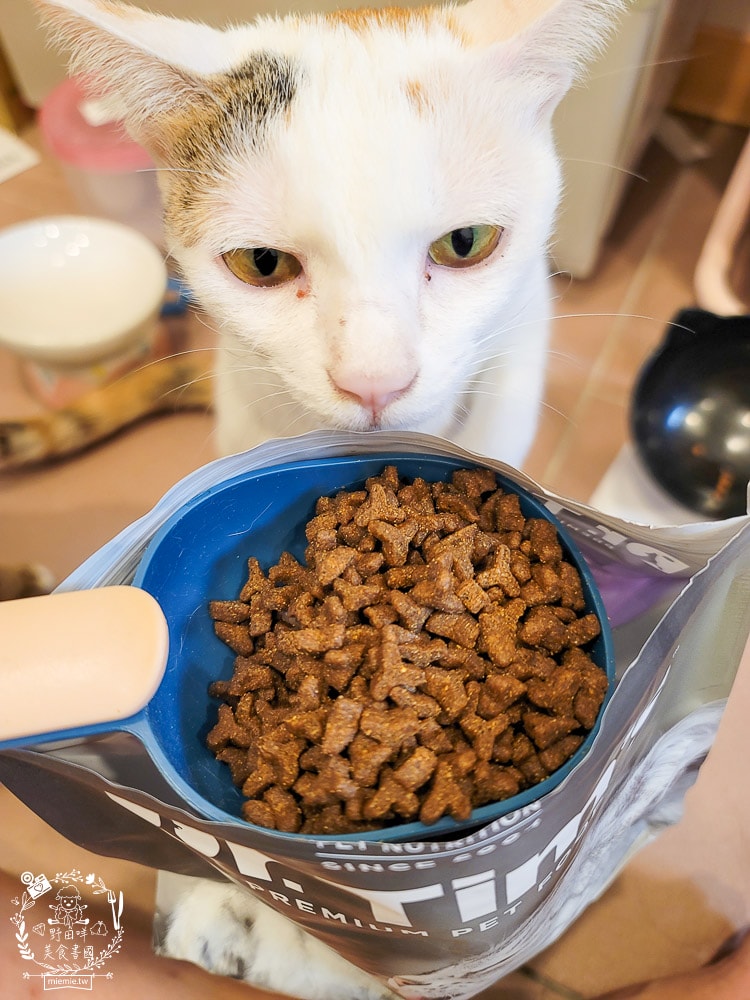 Dr.Tim提姆博士綜合營養全齡化毛挑嘴貓配方貓咪飼料|DFA(Dog food advisor)五星推薦認證品牌