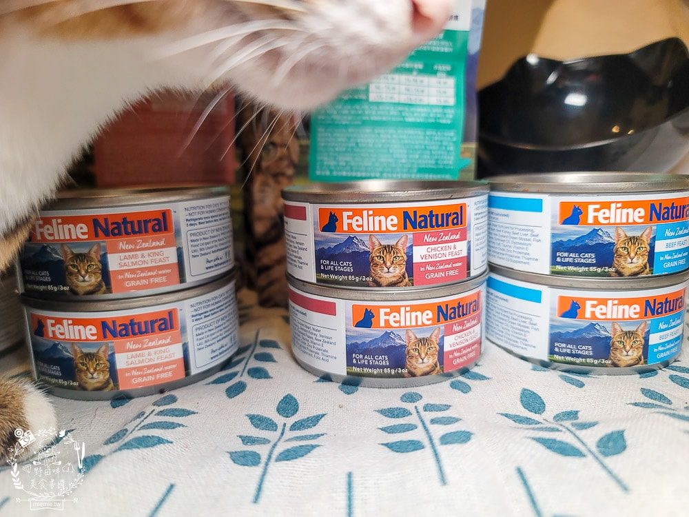K9 Natural評價Feline Natural貓咪主食凍乾|讓貓咪愛不釋口的高肉量低碳水主食罐！