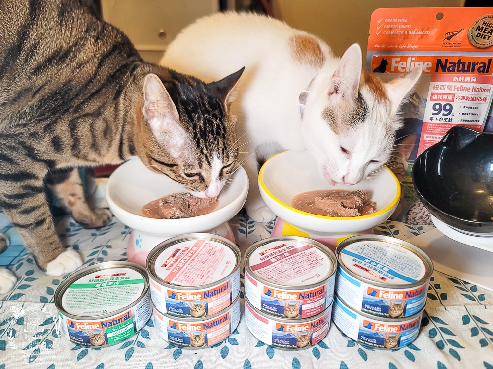 K9 Natural評價Feline Natural貓咪主食凍乾|讓貓咪愛不釋口的高肉量低碳水主食罐！