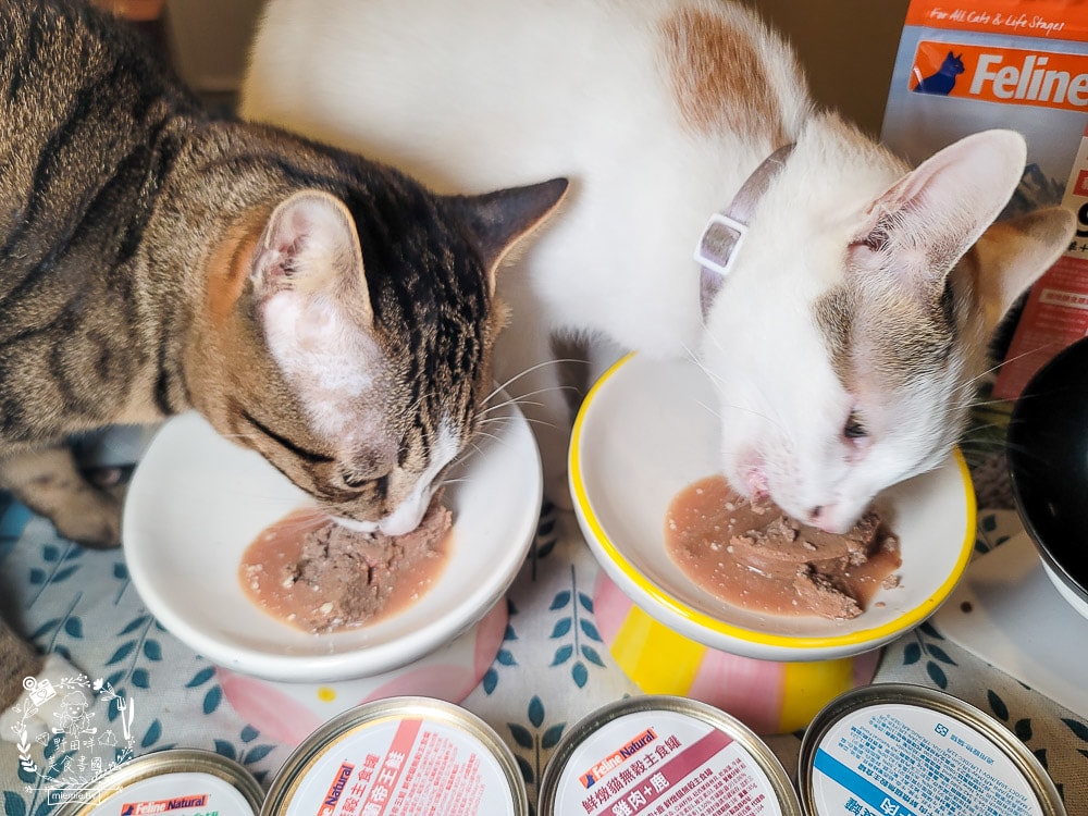 K9 Natural評價Feline Natural貓咪主食凍乾|讓貓咪愛不釋口的高肉量低碳水主食罐！
