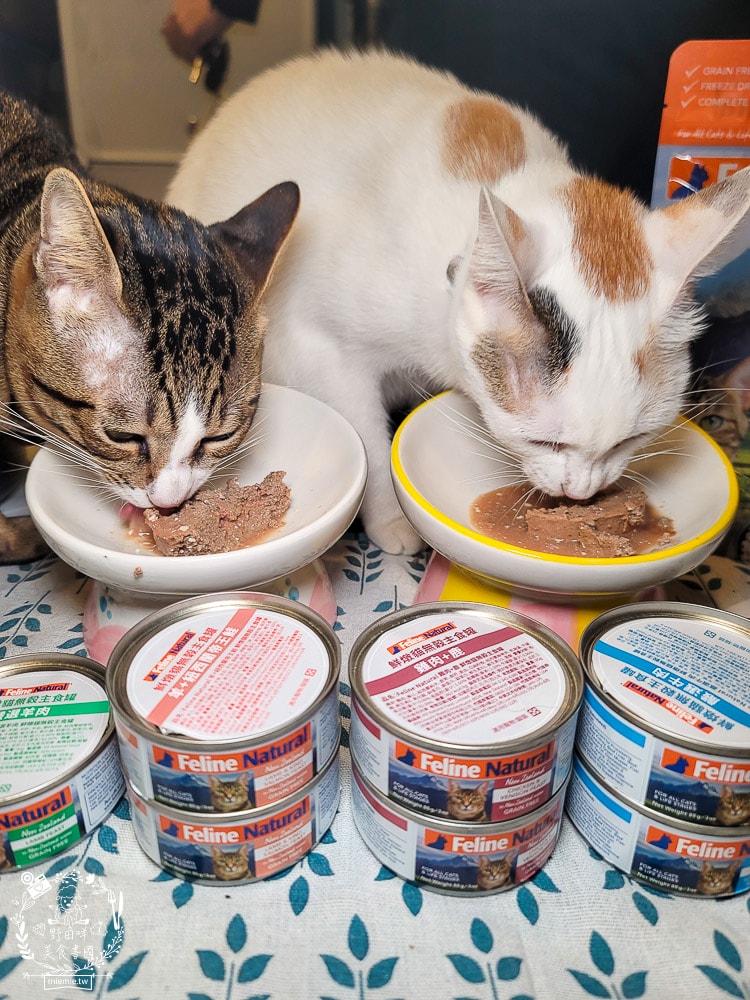 K9 Natural評價Feline Natural貓咪主食凍乾|讓貓咪愛不釋口的高肉量低碳水主食罐！