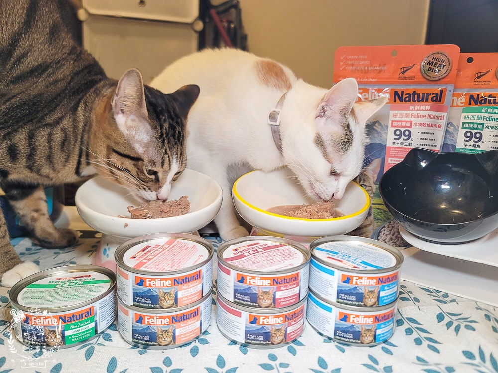K9 Natural評價Feline Natural貓咪主食凍乾|讓貓咪愛不釋口的高肉量低碳水主食罐！