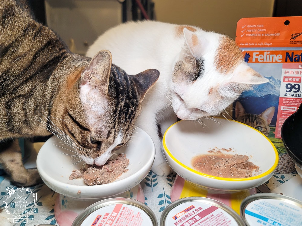 K9 Natural評價Feline Natural貓咪主食凍乾|讓貓咪愛不釋口的高肉量低碳水主食罐！