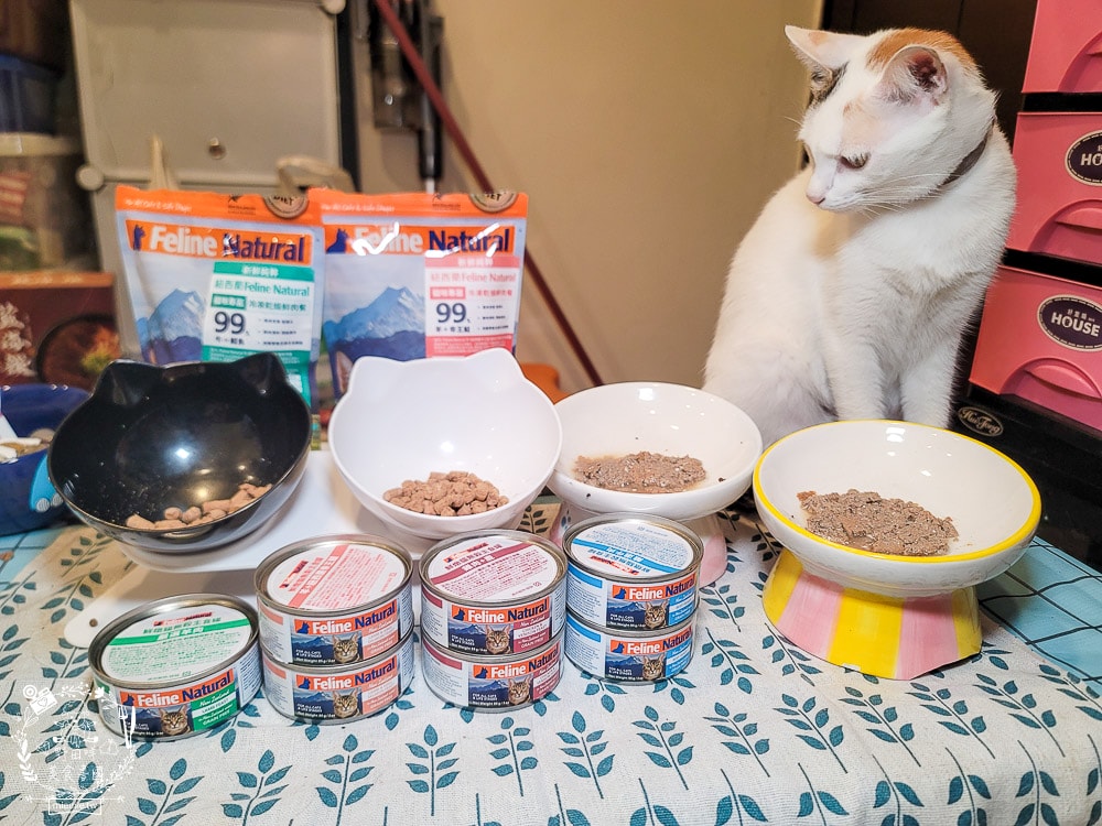 K9 Natural評價Feline Natural貓咪主食凍乾|讓貓咪愛不釋口的高肉量低碳水主食罐！