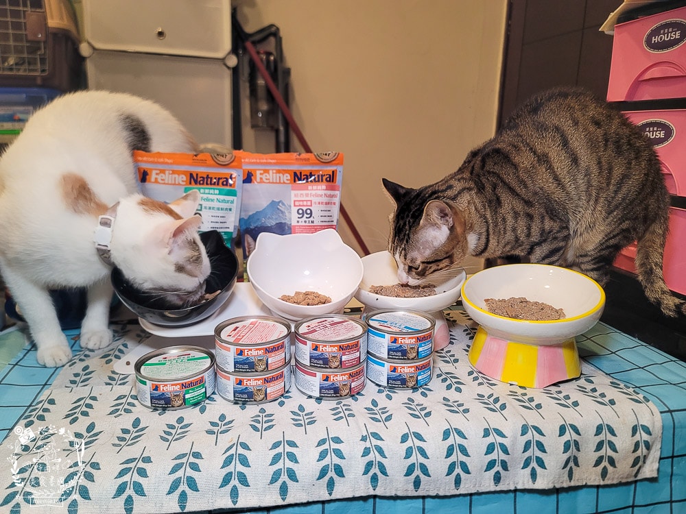 K9 Natural評價Feline Natural貓咪主食凍乾|讓貓咪愛不釋口的高肉量低碳水主食罐！