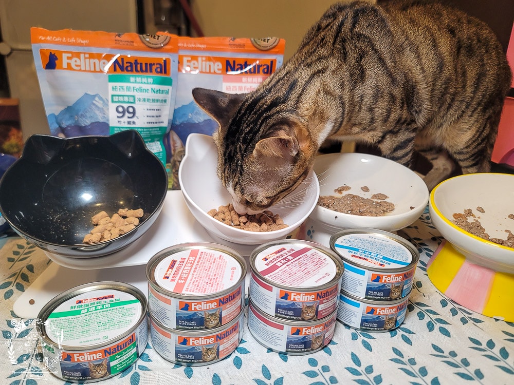K9 Natural評價Feline Natural貓咪主食凍乾|讓貓咪愛不釋口的高肉量低碳水主食罐！