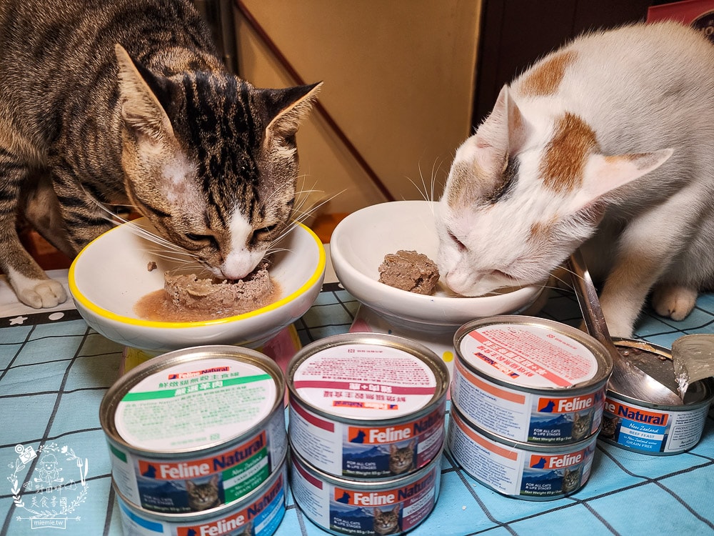 K9 Natural評價Feline Natural貓咪主食凍乾|讓貓咪愛不釋口的高肉量低碳水主食罐！