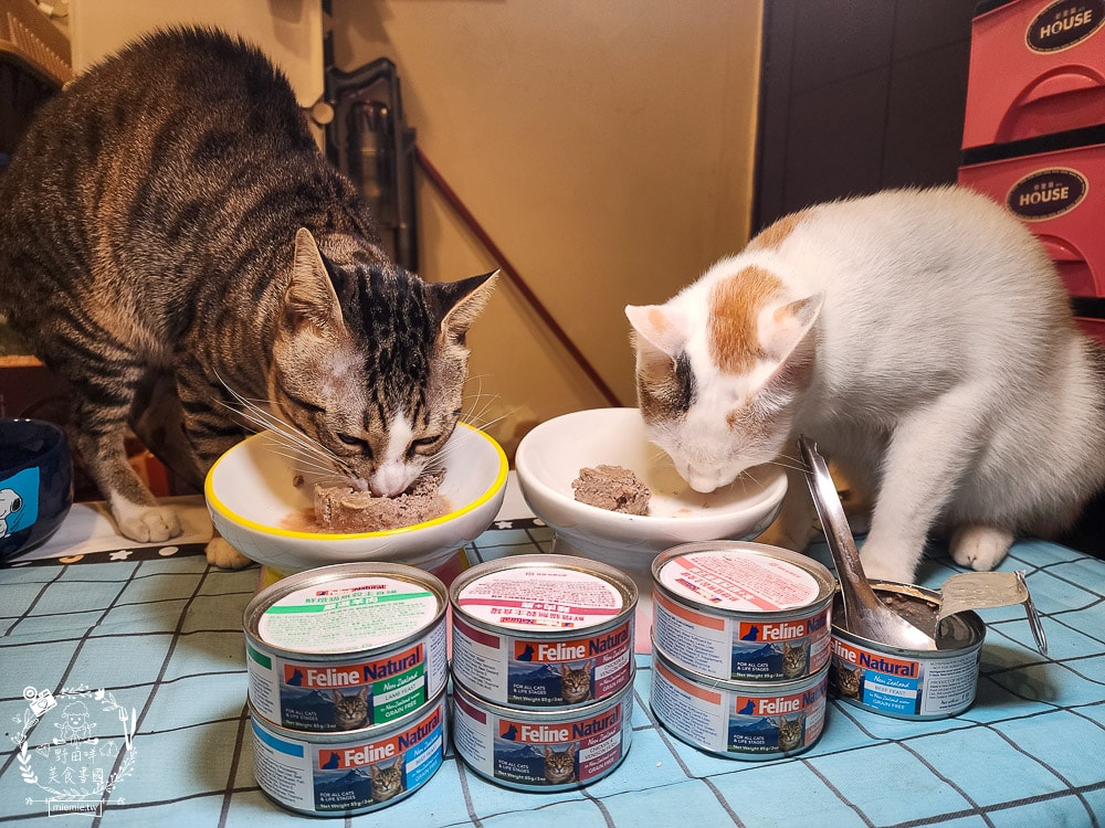 K9 Natural評價Feline Natural貓咪主食凍乾|讓貓咪愛不釋口的高肉量低碳水主食罐！