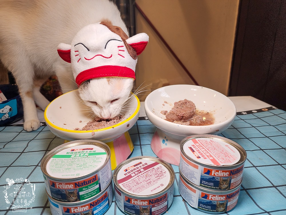 K9 Natural評價Feline Natural貓咪主食凍乾|讓貓咪愛不釋口的高肉量低碳水主食罐！
