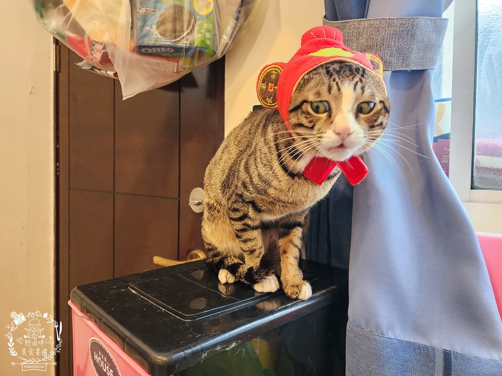 K9 Natural評價Feline Natural貓咪主食凍乾|讓貓咪愛不釋口的高肉量低碳水主食罐！