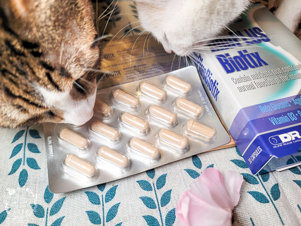 容易感冒、嘴破時吃什麼？汎宇藥業金升寶益生菌是可以調整體質的延遲釋放膠囊