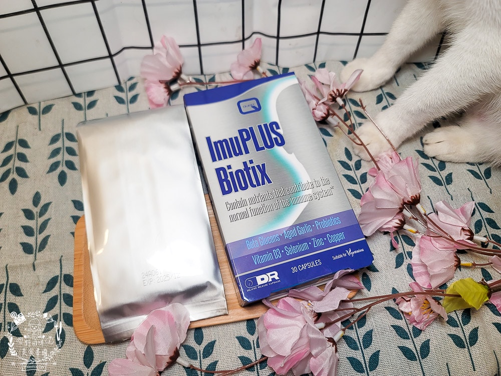 容易感冒、嘴破時吃什麼？汎宇藥業金升寶益生菌是可以調整體質的延遲釋放膠囊