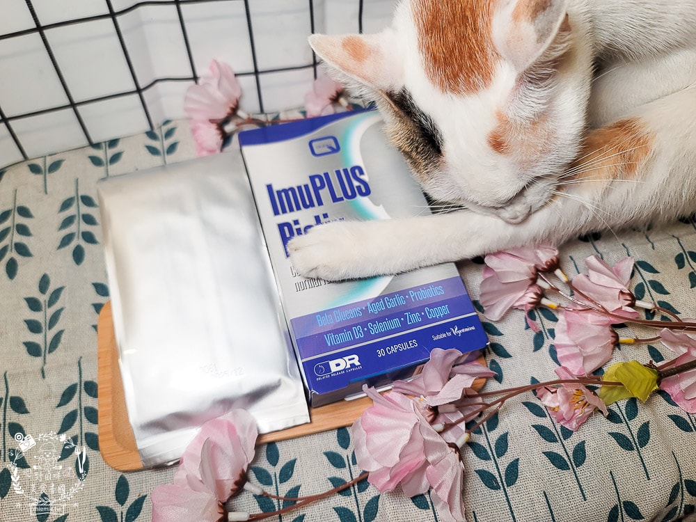 容易感冒、嘴破時吃什麼？汎宇藥業金升寶益生菌是可以調整體質的延遲釋放膠囊