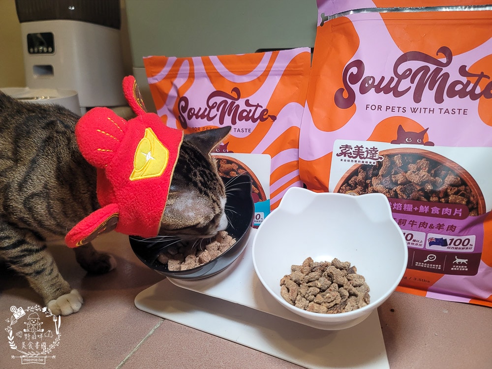 2025寵物開箱/品果國際/索美達SoulMate飼料評價/貓用生食主餐推薦/貓咪凍乾餐分享 - 第17張圖 2025寵物開箱/品果國際/索美達SoulMate飼料評價/貓用生食主餐推薦/貓咪凍乾餐分享