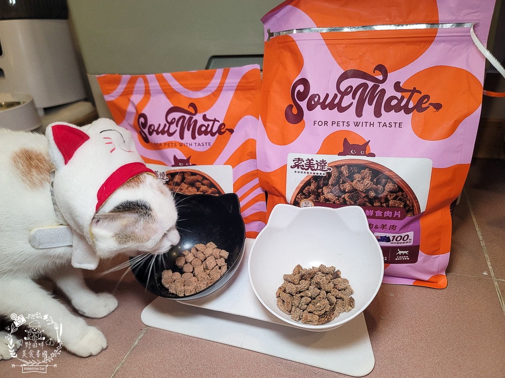 2025寵物開箱/品果國際/索美達SoulMate飼料評價/貓用生食主餐推薦/貓咪凍乾餐分享 - 第18張圖 2025寵物開箱/品果國際/索美達SoulMate飼料評價/貓用生食主餐推薦/貓咪凍乾餐分享