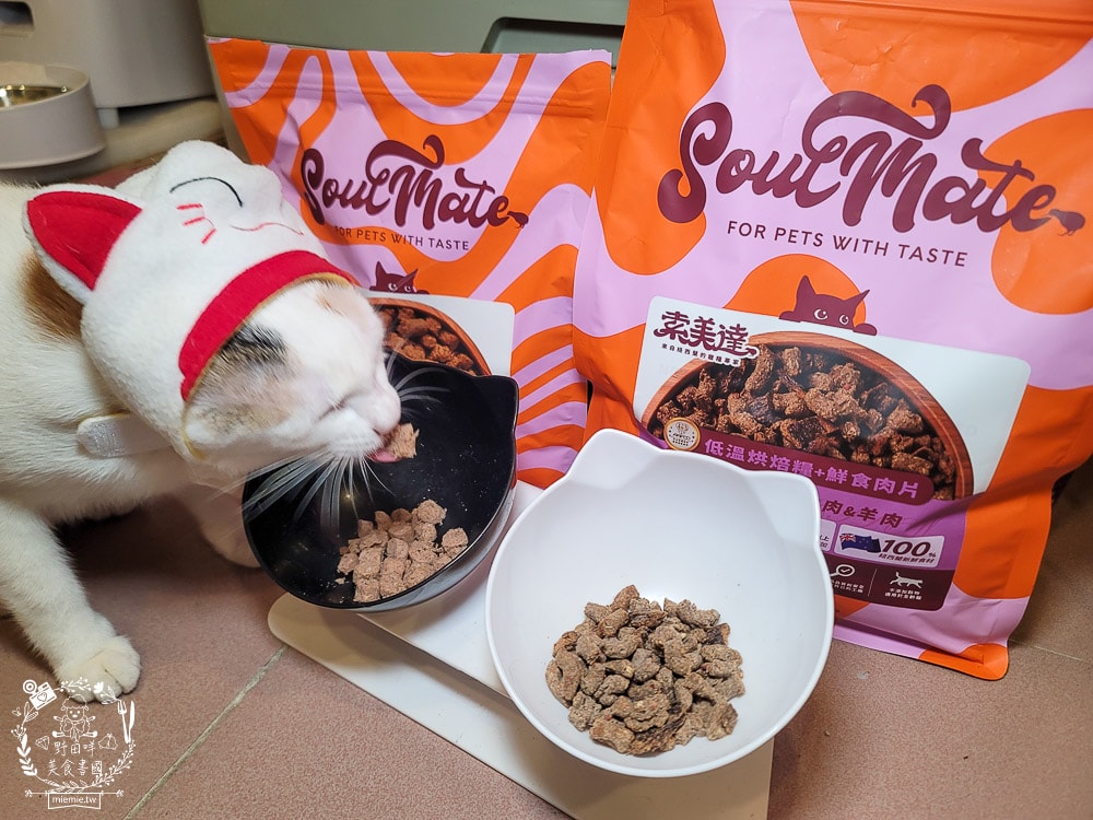 2025寵物開箱/品果國際/索美達SoulMate飼料評價/貓用生食主餐推薦/貓咪凍乾餐分享 - 第19張圖 2025寵物開箱/品果國際/索美達SoulMate飼料評價/貓用生食主餐推薦/貓咪凍乾餐分享
