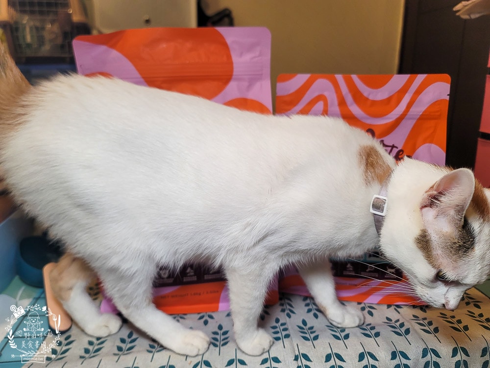 2025寵物開箱/品果國際/索美達SoulMate飼料評價/貓用生食主餐推薦/貓咪凍乾餐分享