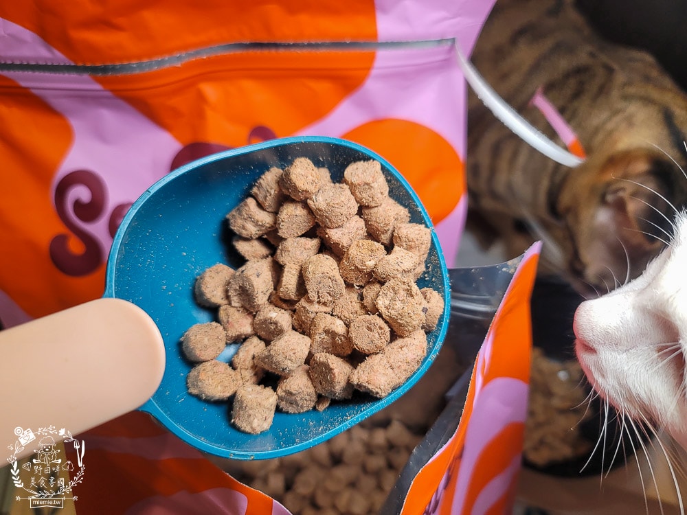 2025寵物開箱/品果國際/索美達SoulMate飼料評價/貓用生食主餐推薦/貓咪凍乾餐分享 - 第8張圖 2025寵物開箱/品果國際/索美達SoulMate飼料評價/貓用生食主餐推薦/貓咪凍乾餐分享