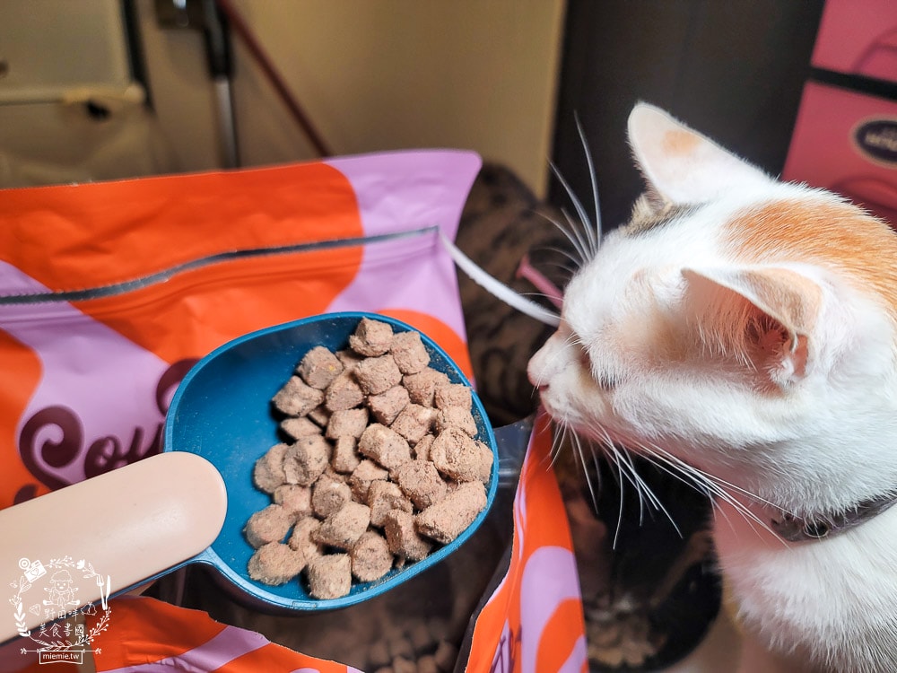 2025寵物開箱/品果國際/索美達SoulMate飼料評價/貓用生食主餐推薦/貓咪凍乾餐分享 - 第9張圖 2025寵物開箱/品果國際/索美達SoulMate飼料評價/貓用生食主餐推薦/貓咪凍乾餐分享