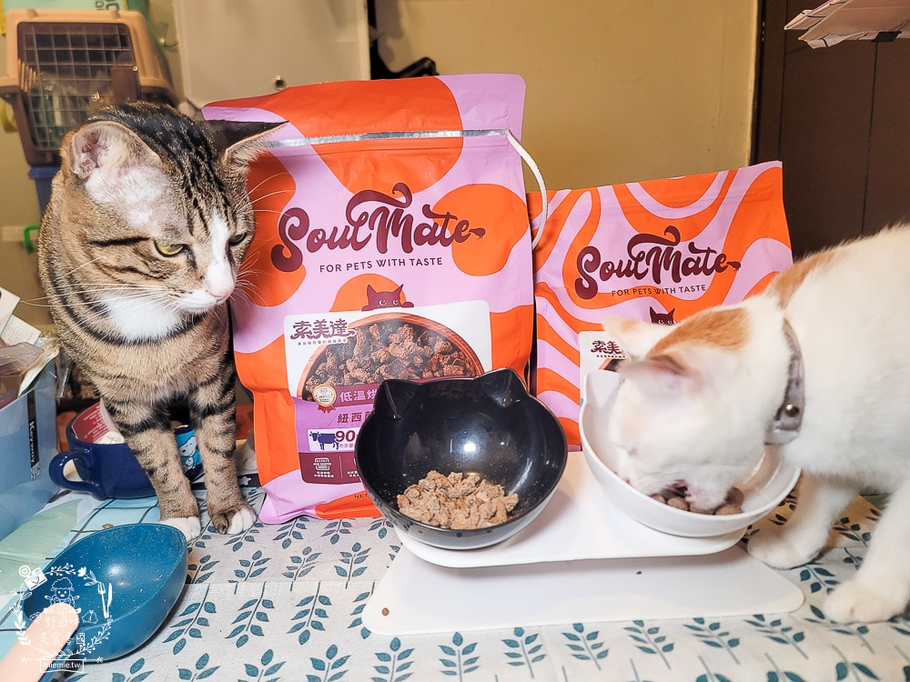 2025寵物開箱/品果國際/索美達SoulMate飼料評價/貓用生食主餐推薦/貓咪凍乾餐分享 - 第14張圖 2025寵物開箱/品果國際/索美達SoulMate飼料評價/貓用生食主餐推薦/貓咪凍乾餐分享