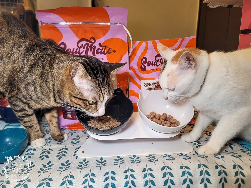 2025寵物開箱/品果國際/索美達SoulMate飼料評價/貓用生食主餐推薦/貓咪凍乾餐分享 - 第15張圖 2025寵物開箱/品果國際/索美達SoulMate飼料評價/貓用生食主餐推薦/貓咪凍乾餐分享