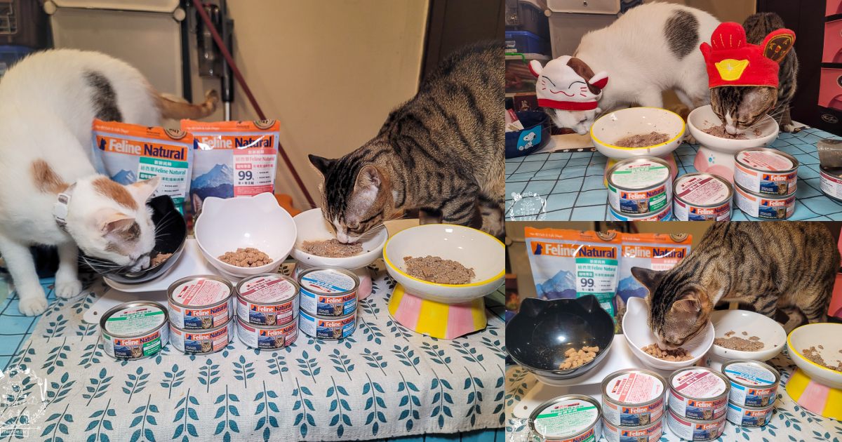 K9 Natural評價Feline Natural貓咪主食凍乾|讓貓咪愛不釋口的高肉量低碳水主食罐！