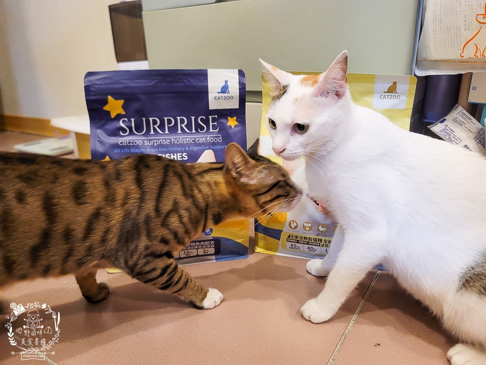 臭貓動物園傻派無穀貓飼料開箱推薦!高蛋白、低碳水、適口性超高的貓咪飼料! - 第4張圖 臭貓動物園傻派無穀貓飼料開箱推薦!高蛋白、低碳水、適口性超高的貓咪飼料!