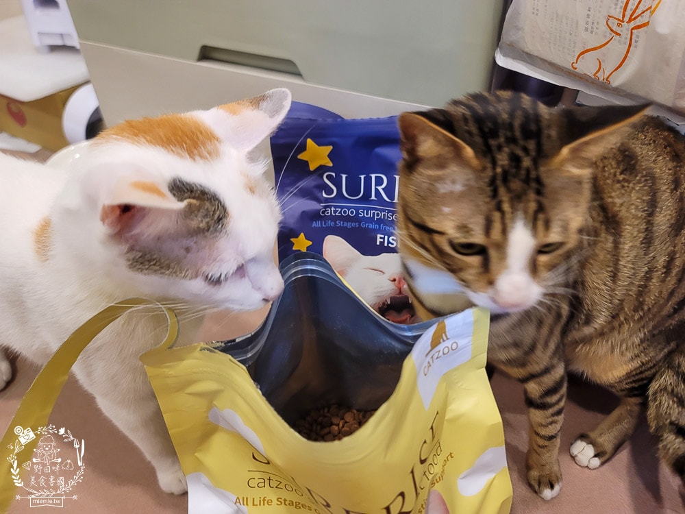 臭貓動物園傻派無穀貓飼料開箱推薦!高蛋白、低碳水、適口性超高的貓咪飼料! - 第8張圖 臭貓動物園傻派無穀貓飼料開箱推薦!高蛋白、低碳水、適口性超高的貓咪飼料!
