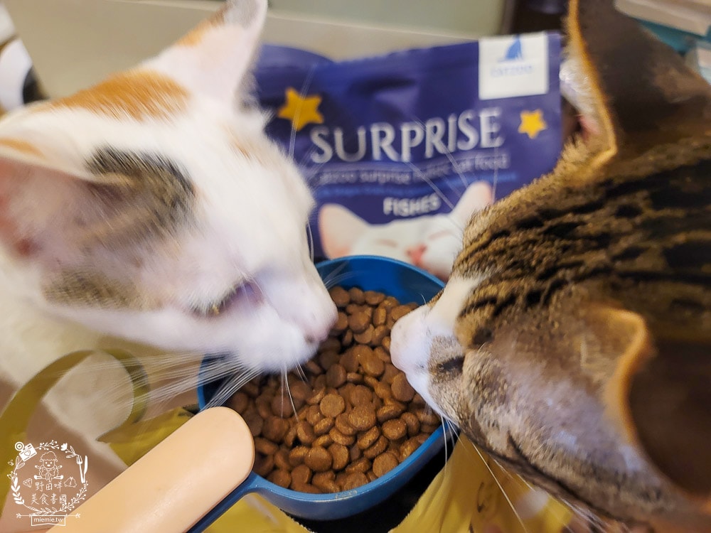 臭貓動物園傻派無穀貓飼料開箱推薦!高蛋白、低碳水、適口性超高的貓咪飼料! - 第10張圖 臭貓動物園傻派無穀貓飼料開箱推薦!高蛋白、低碳水、適口性超高的貓咪飼料!