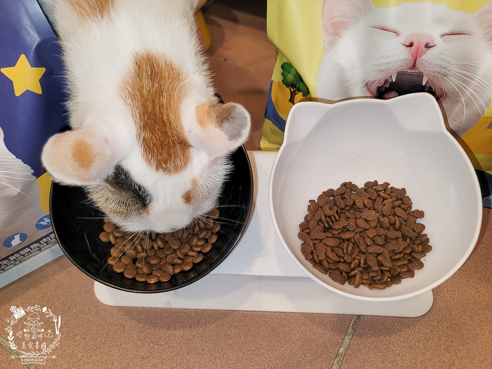 臭貓動物園傻派無穀貓飼料開箱推薦!高蛋白、低碳水、適口性超高的貓咪飼料! - 第15張圖 臭貓動物園傻派無穀貓飼料開箱推薦!高蛋白、低碳水、適口性超高的貓咪飼料!