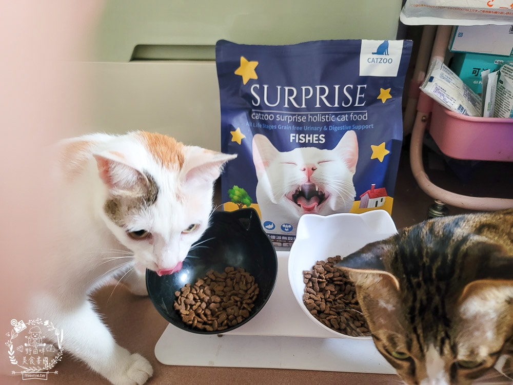 臭貓動物園傻派無穀貓飼料開箱推薦!高蛋白、低碳水、適口性超高的貓咪飼料! - 第18張圖 臭貓動物園傻派無穀貓飼料開箱推薦!高蛋白、低碳水、適口性超高的貓咪飼料!