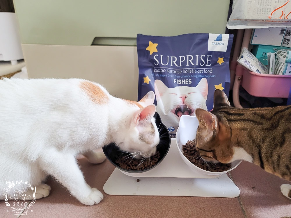 臭貓動物園傻派無穀貓飼料開箱推薦!高蛋白、低碳水、適口性超高的貓咪飼料! - 第19張圖 臭貓動物園傻派無穀貓飼料開箱推薦!高蛋白、低碳水、適口性超高的貓咪飼料!