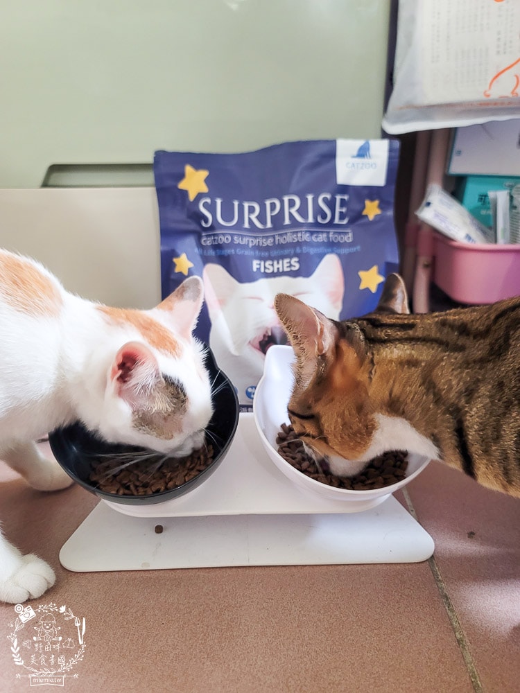 臭貓動物園傻派無穀貓飼料開箱推薦!高蛋白、低碳水、適口性超高的貓咪飼料! - 第20張圖 臭貓動物園傻派無穀貓飼料開箱推薦!高蛋白、低碳水、適口性超高的貓咪飼料!