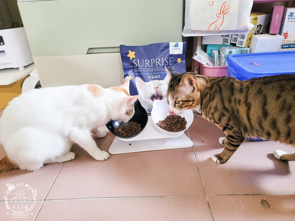 臭貓動物園傻派無穀貓飼料開箱推薦!高蛋白、低碳水、適口性超高的貓咪飼料! - 第21張圖 臭貓動物園傻派無穀貓飼料開箱推薦!高蛋白、低碳水、適口性超高的貓咪飼料!