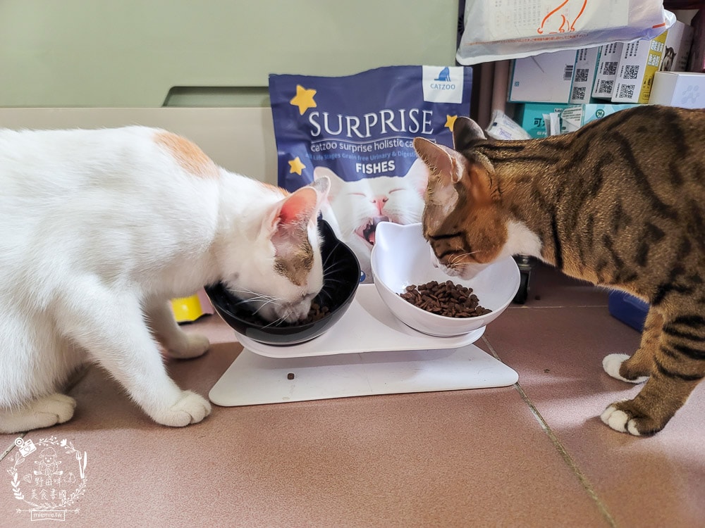 臭貓動物園傻派無穀貓飼料開箱推薦!高蛋白、低碳水、適口性超高的貓咪飼料! - 第22張圖 臭貓動物園傻派無穀貓飼料開箱推薦!高蛋白、低碳水、適口性超高的貓咪飼料!