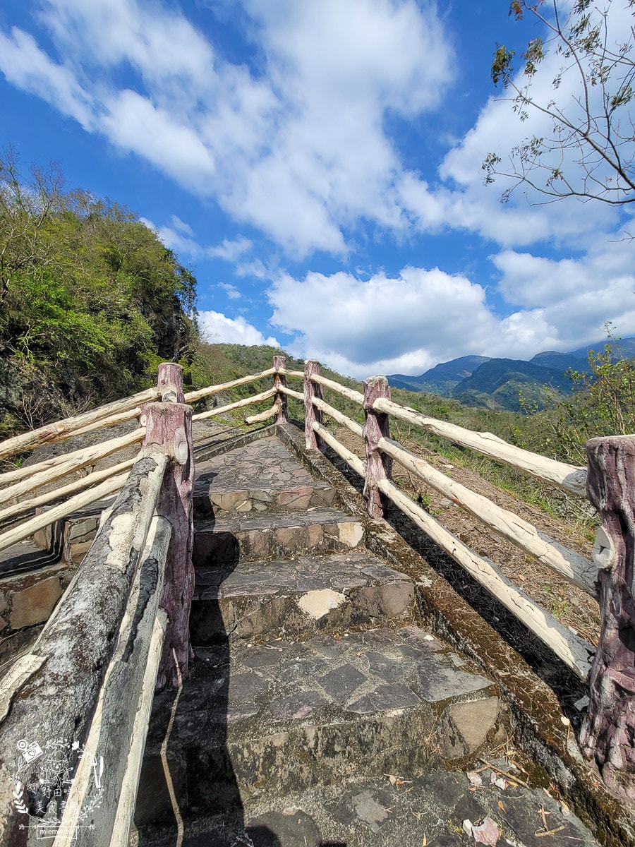 2025高雄那瑪夏賞螢季3/21-4/27搶先開跑!!螢火蟲密度最高的地方，黑翅螢、大端黑螢等15種以上螢火蟲!高雄螢火蟲推薦!