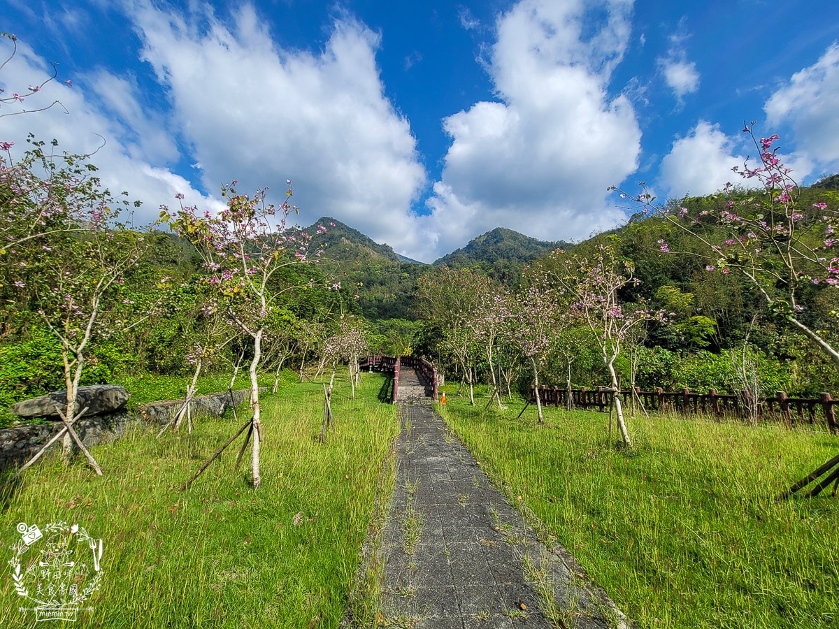 2025高雄那瑪夏賞螢季3/21-4/27搶先開跑!!螢火蟲密度最高的地方，黑翅螢、大端黑螢等15種以上螢火蟲!高雄螢火蟲推薦!