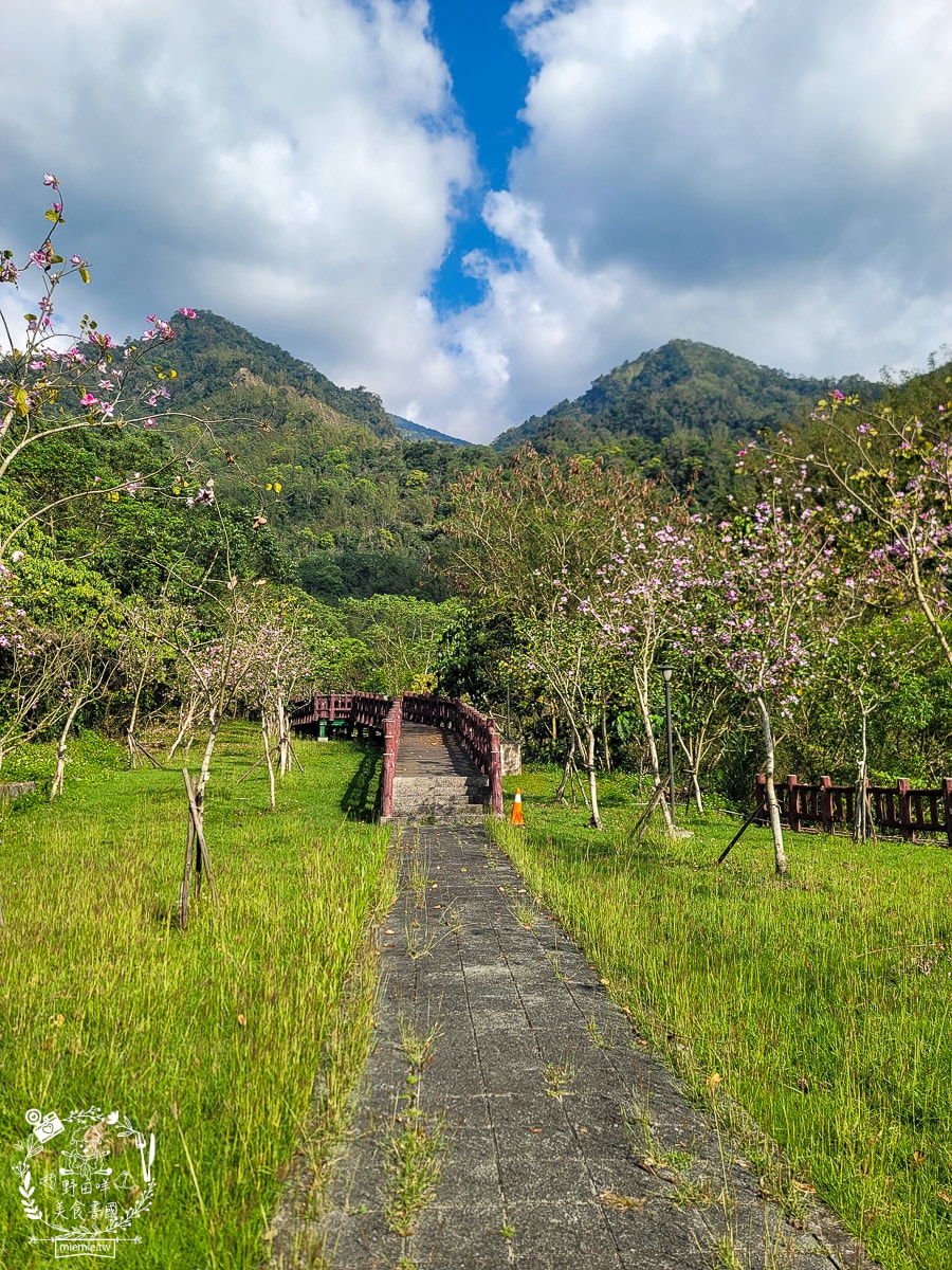 2025高雄那瑪夏賞螢季3/21-4/27搶先開跑!!螢火蟲密度最高的地方，黑翅螢、大端黑螢等15種以上螢火蟲!高雄螢火蟲推薦!