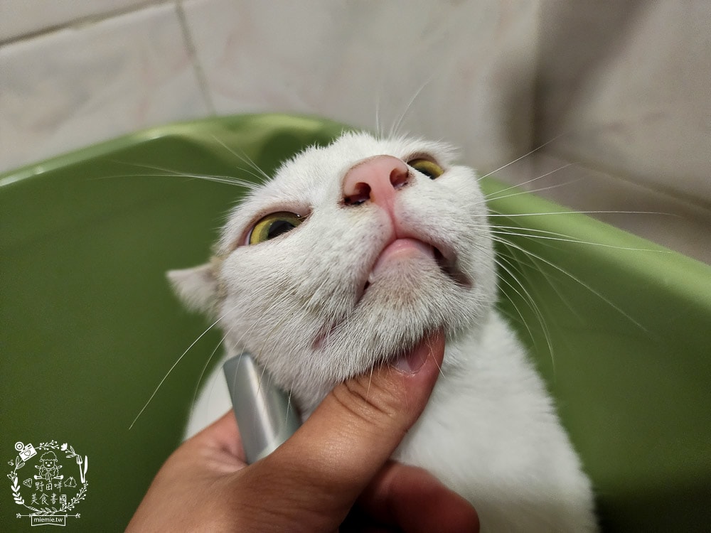 GoodMoFamily歸毛家族-寵物肌膚救星-舒敏保濕洗毛乳+護膚噴液+精萃營養霜|寵物肌膚問題的法寶