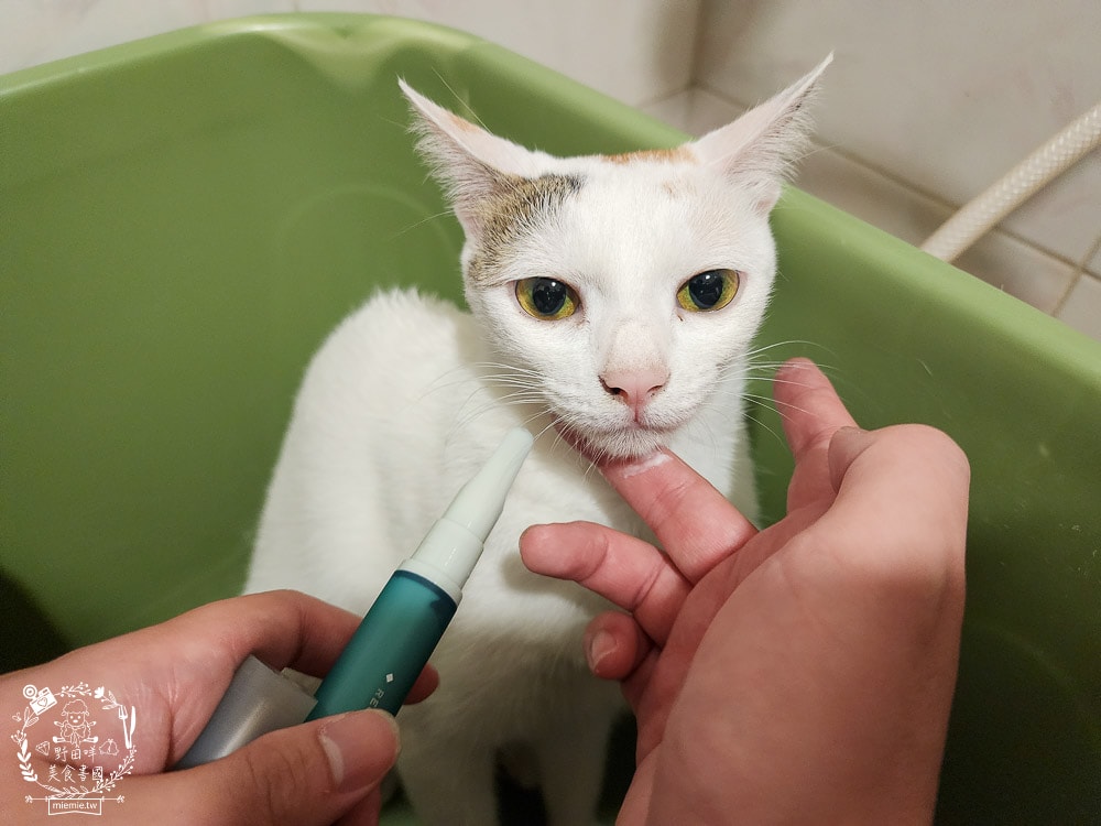 GoodMoFamily歸毛家族-寵物肌膚救星-舒敏保濕洗毛乳+護膚噴液+精萃營養霜|寵物肌膚問題的法寶