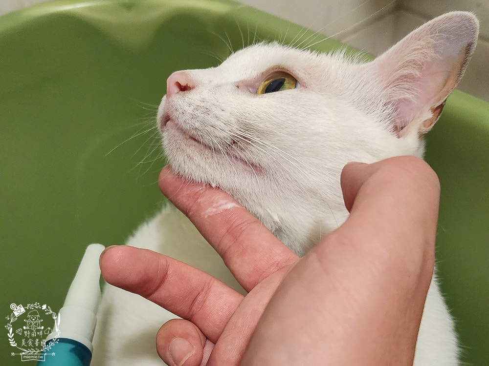 GoodMoFamily歸毛家族-寵物肌膚救星-舒敏保濕洗毛乳+護膚噴液+精萃營養霜|寵物肌膚問題的法寶