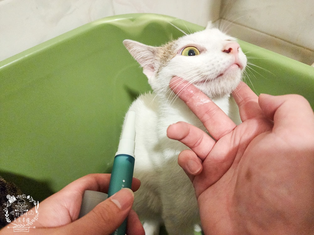 GoodMoFamily歸毛家族-寵物肌膚救星-舒敏保濕洗毛乳+護膚噴液+精萃營養霜|寵物肌膚問題的法寶